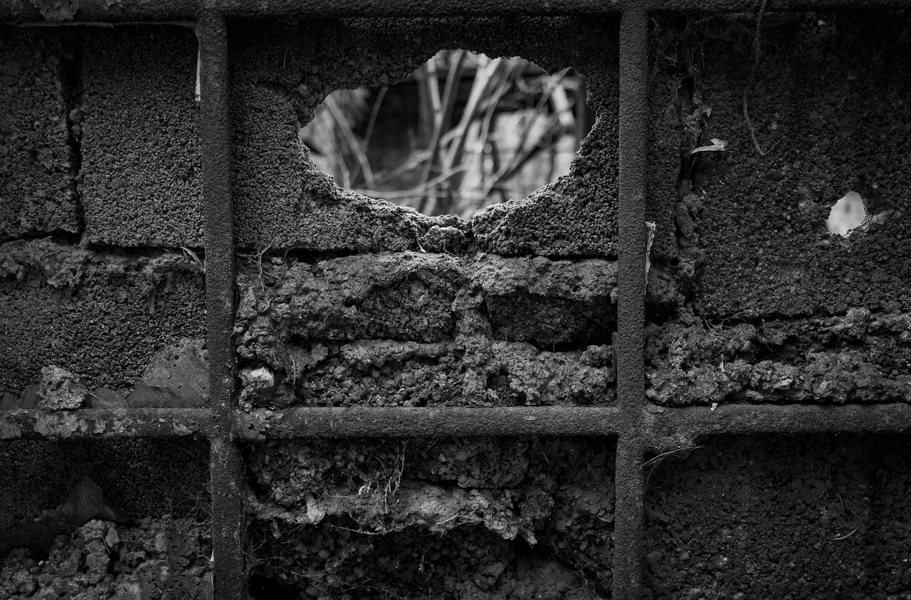 un muro con un buco da cui so vedono rami spogli