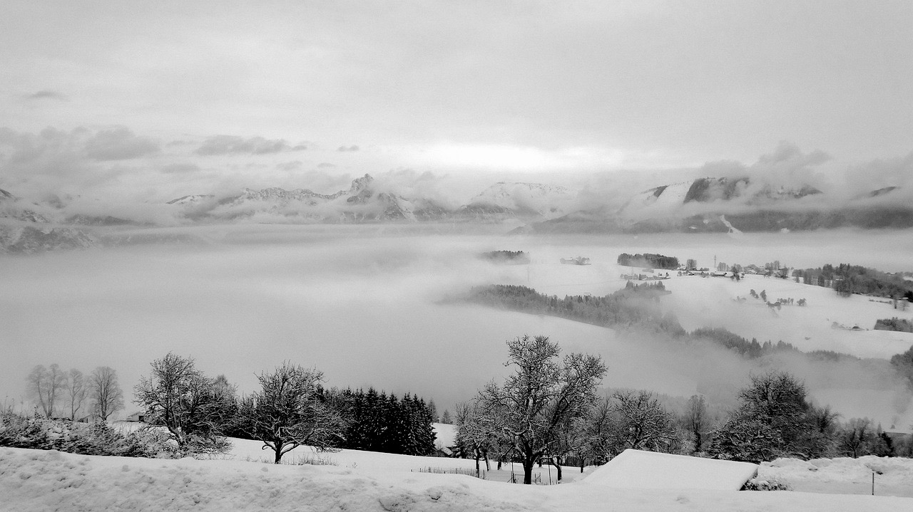 paesaggio innevato con alberi spogli montagne in lontananza e nebbia