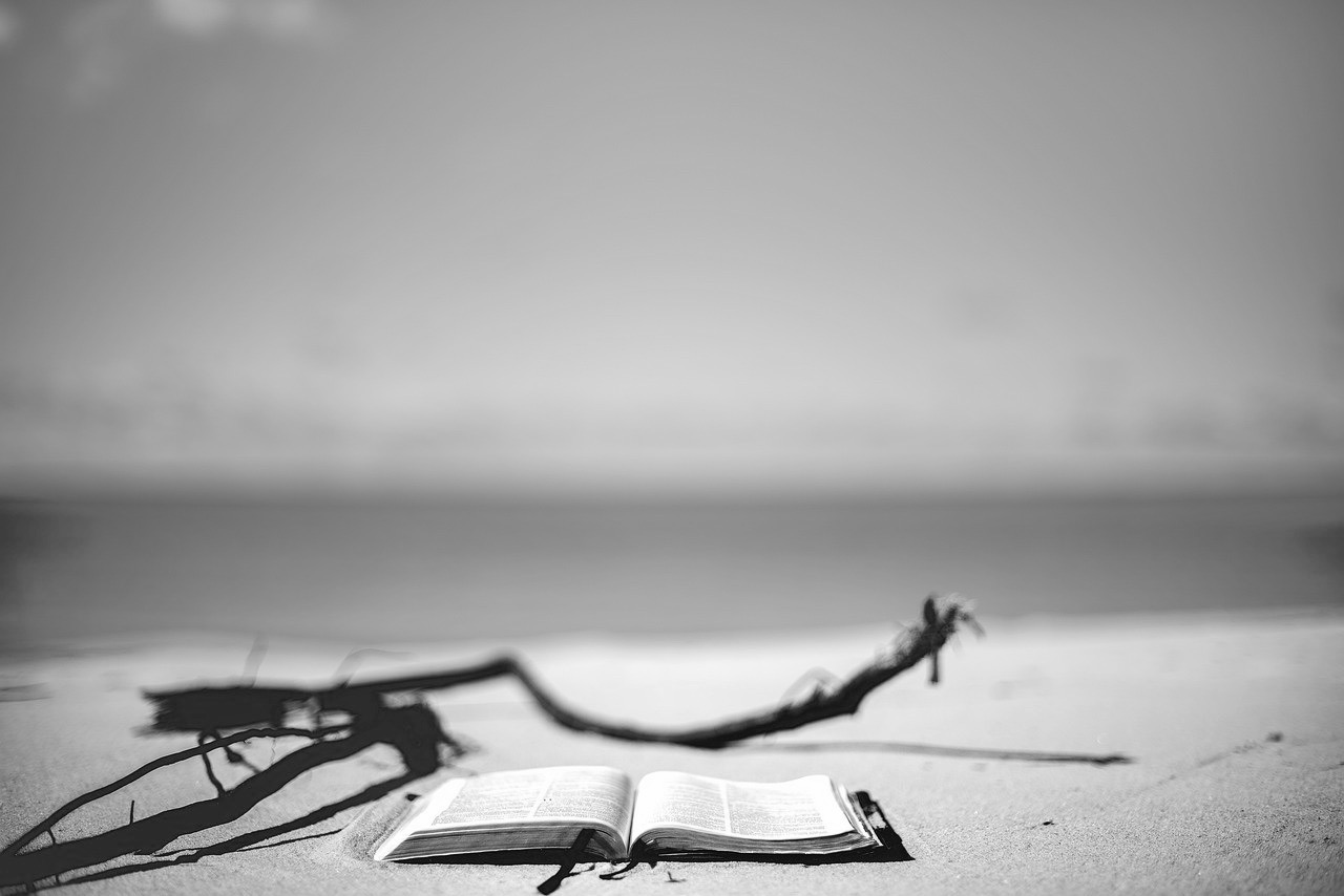 una spiaggia, un libro aperto con segnalibro due rami secchi vicino