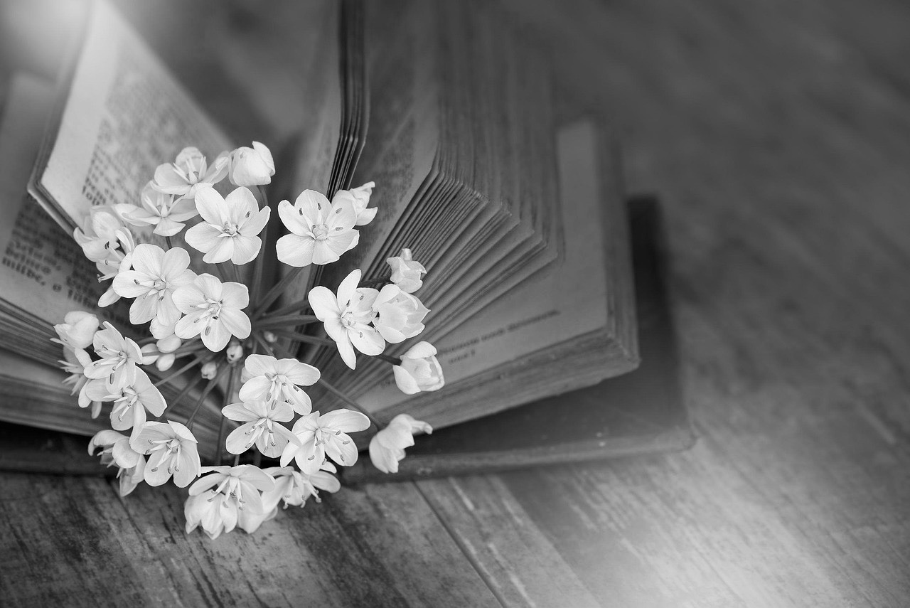 un libro aperto e dei fiori bianchi come segnalibro